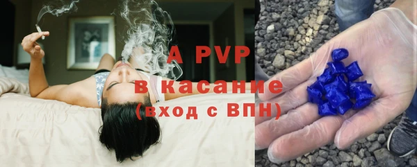 гашик Осташков